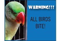 Birds Bite! (Warning -Graphic Content)