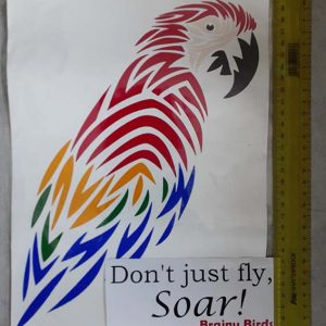 Macaw Window Sticker and bumper sticker pack